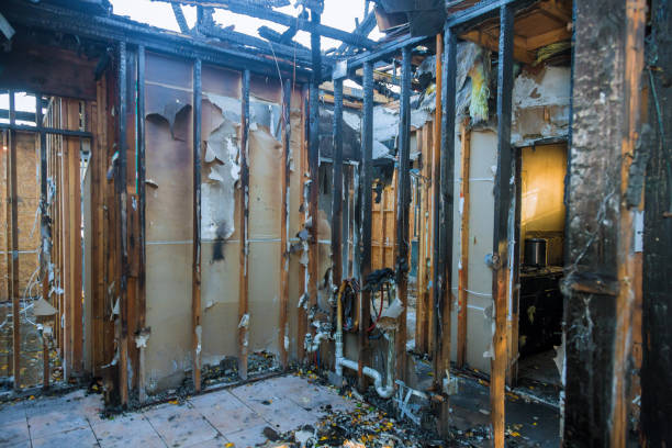 Professional Smoke Damage Removal technician working in West Friendship, MD
